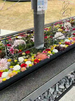 武蔵野坐令和神社(埼玉県)