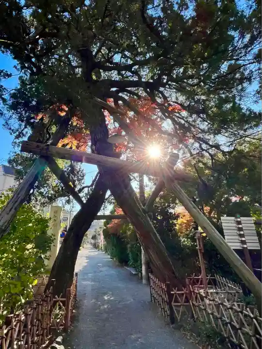 荏柄天神社(神奈川県)