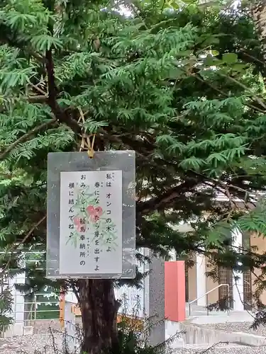 音更神社の自然