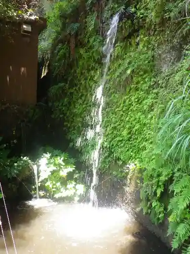 銭洗弁財天宇賀福神社の自然