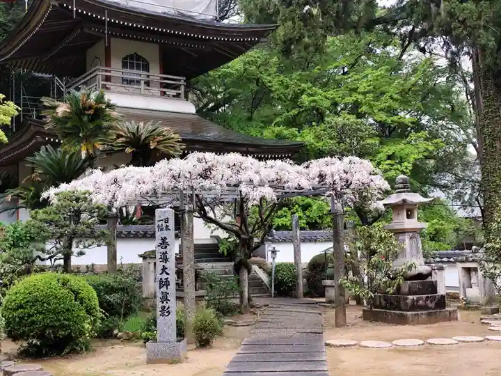 光明寺(兵庫県)