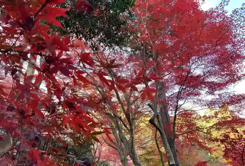 教林坊(滋賀県)