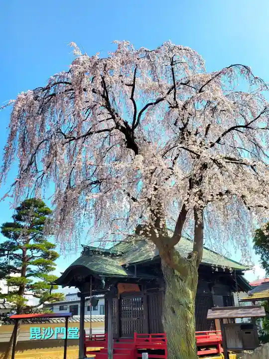 長松院(福島県)