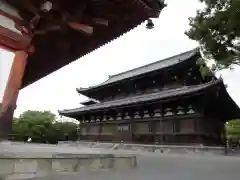 東寺（教王護国寺）(京都府)