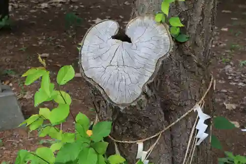 大谷地神社の自然