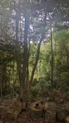 若宮八幡社(東京都)