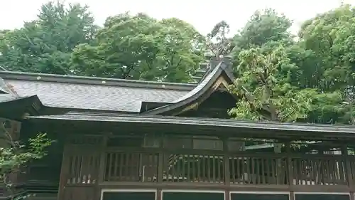 春日部八幡神社の本殿・本堂