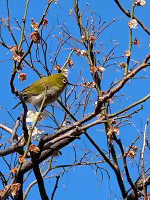 高円寺(東京都)