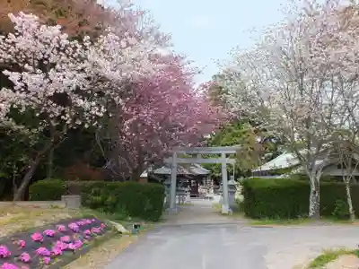 立志神社の鳥居