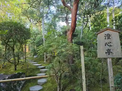 平安神宮(京都府)