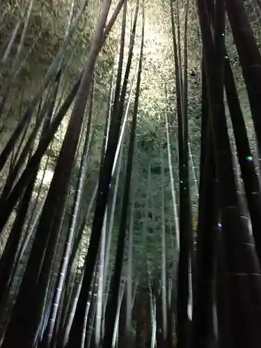 高台寺（高台寿聖禅寺・高臺寺）(京都府)