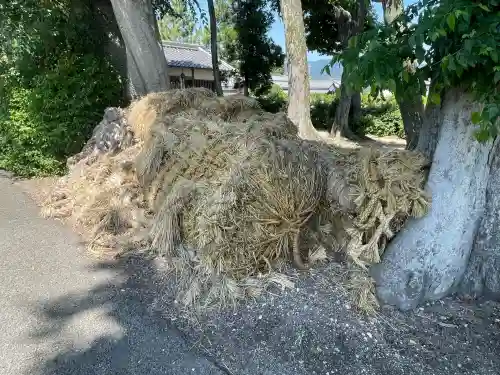 素盞嗚神社(奈良県)