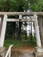 日枝大神の鳥居