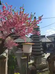 蓮久寺(神奈川県)