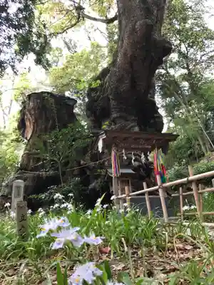來宮神社(静岡県)
