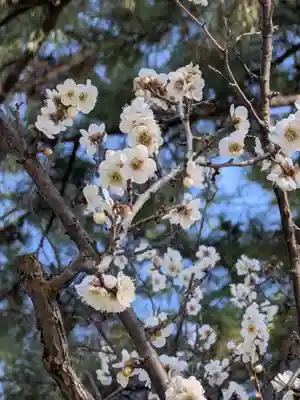 田端神社(東京都)