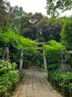 赤坂氷川神社(東京都)