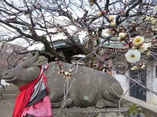 北野天満宮(京都府)