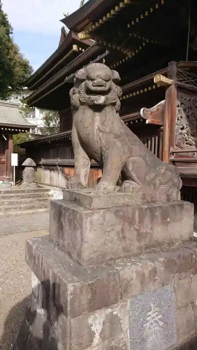 赤羽八幡神社の狛犬