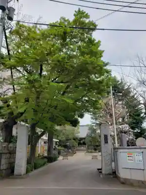 東光寺(東京都)