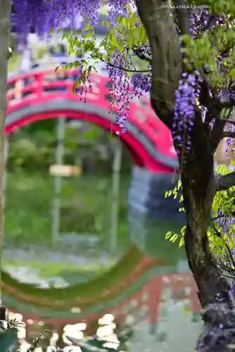 亀戸天神社(東京都)