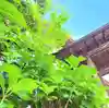 十日恵比須神社(福岡県)