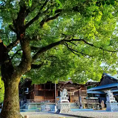 大歳神社(静岡県)