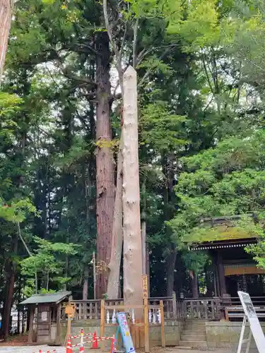 諏訪大社下社秋宮のその他建物
