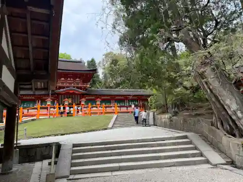 春日大社の{uncategorized: "未分類", other: "その他", undefined: "問題あり", building: "その他建物", grave: "お墓", sacred_gate: "鳥居", guardian: "狛犬", statue: "像", buddha: "仏像", history: "歴史", nature: "自然", garden: "庭園", animal: "動物", pagoda: "塔", temizu: "手水舎", mountain_gate: "山門・神門", sanctuary: "本殿・本堂", subordinate: "末社・摂社", art: "芸術", scenery: "景色", jizo: "地蔵", ema: "絵馬", goshuin: "御朱印", omikuji: "おみくじ", items: "授与品その他", amulet: "お守り", goshuincho: "御朱印帳", eats: "食事", festival: "お祭り", votive_dance: "神楽", shichigosan: "七五三参", wedding: "結婚式", experience: "体験その他", initially: "初詣", around: "周辺", anti_infection: "感染症対策"}