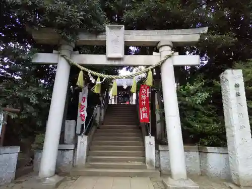 千束八幡神社の鳥居