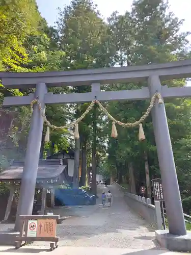 戸隠神社中社の鳥居