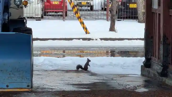 眞久寺(北海道)
