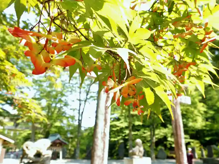 古峯神社の自然