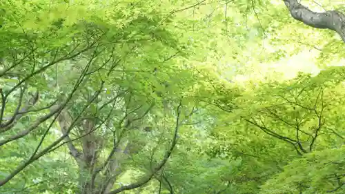 相国寺（相国承天禅寺）(京都府)