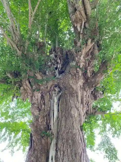 普賢寺(福島県)