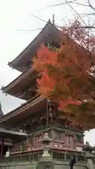 清水寺の塔