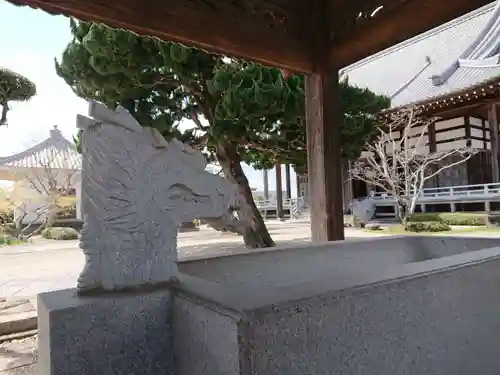 正法寺の手水舎