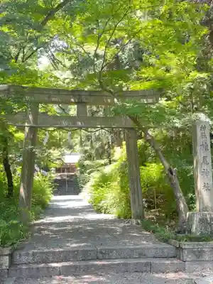 椎尾神社の鳥居