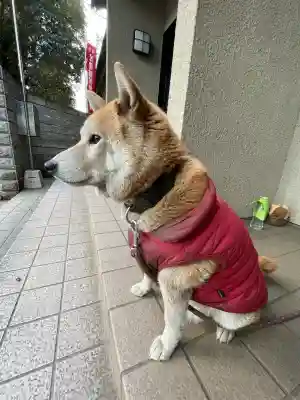 笠䅣稲荷神社の{uncategorized: "未分類", other: "その他", undefined: "問題あり", building: "その他建物", grave: "お墓", sacred_gate: "鳥居", guardian: "狛犬", statue: "像", buddha: "仏像", history: "歴史", nature: "自然", garden: "庭園", animal: "動物", pagoda: "塔", temizu: "手水舎", mountain_gate: "山門・神門", sanctuary: "本殿・本堂", subordinate: "末社・摂社", art: "芸術", scenery: "景色", jizo: "地蔵", ema: "絵馬", goshuin: "御朱印", omikuji: "おみくじ", items: "授与品その他", amulet: "お守り", goshuincho: "御朱印帳", eats: "食事", festival: "お祭り", votive_dance: "神楽", shichigosan: "七五三参", wedding: "結婚式", experience: "体験その他", initially: "初詣", around: "周辺", anti_infection: "感染症対策"}