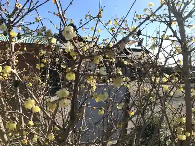 鶴峯八幡宮(千葉県)