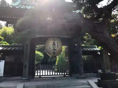 長谷寺の山門・神門