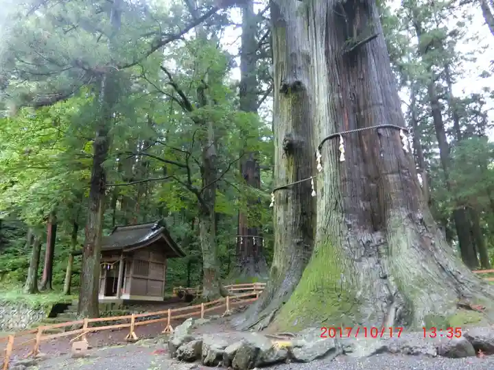 河口浅間神社(山梨県)