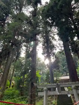 大宮温泉神社(栃木県)