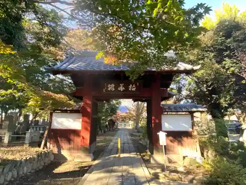 清善寺の山門