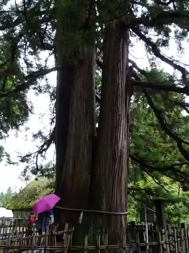 戸隠神社中社(長野県)