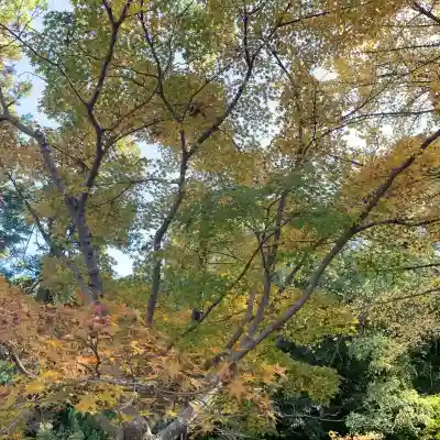 闘鶏神社(和歌山県)