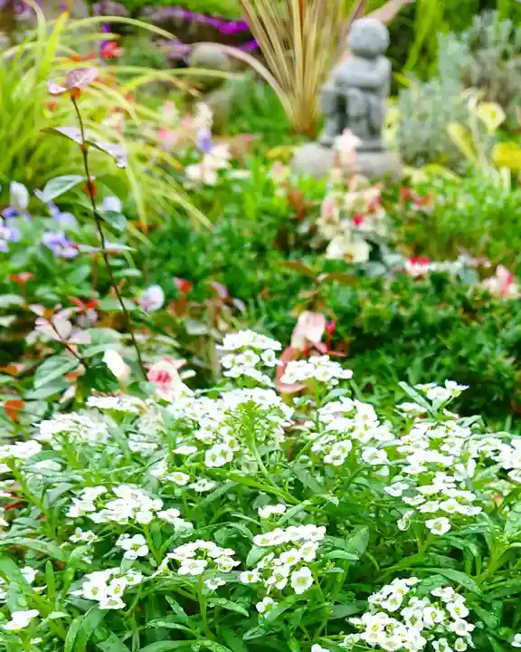 寿量山 速成寺の自然