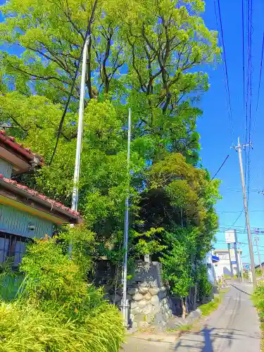 天王社（三奴天王社）の自然