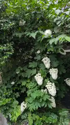 和光寺(大阪府)