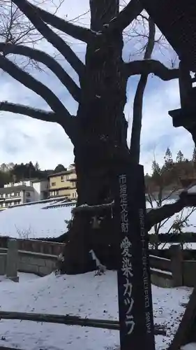 北向観音の自然